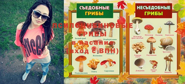 мяу мяу кристалл Няндома