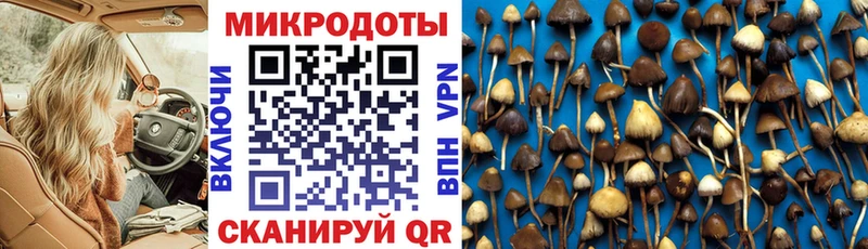 Галлюциногенные грибы Magic Shrooms  hydra ССЫЛКА  Суздаль 
